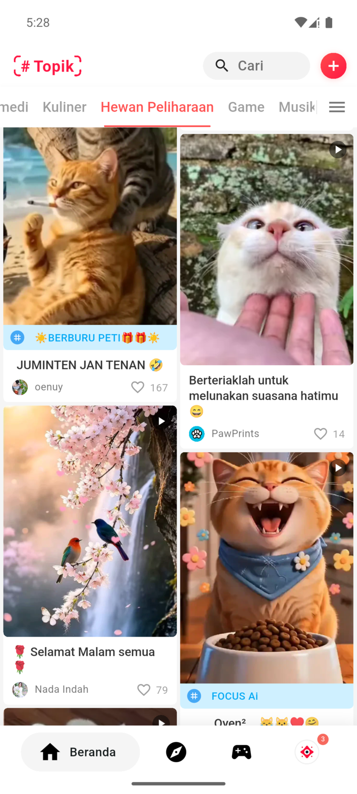 Feed de interesse em animais no FOCUS